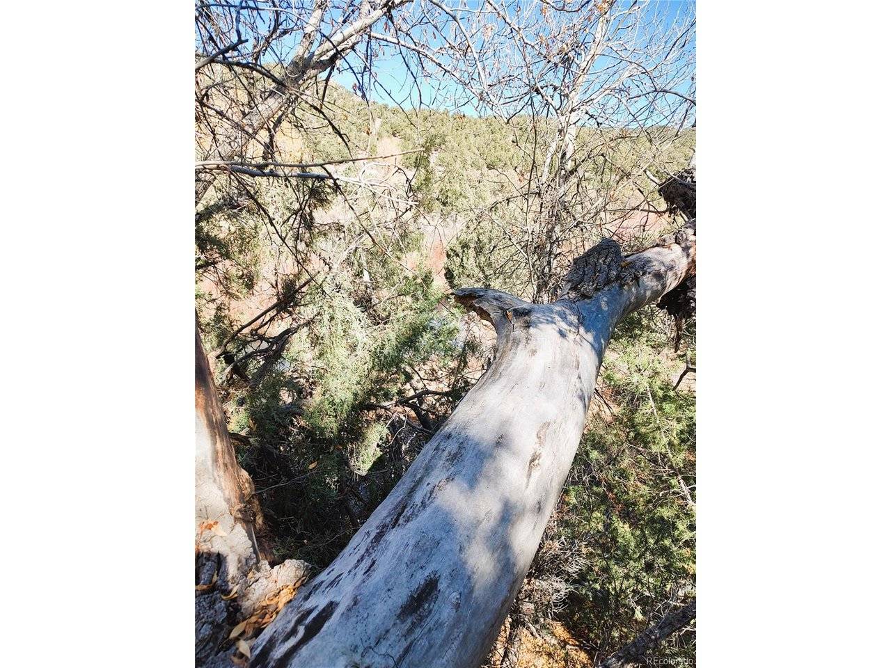 Fort Garland, CO 81133,Address not disclosed