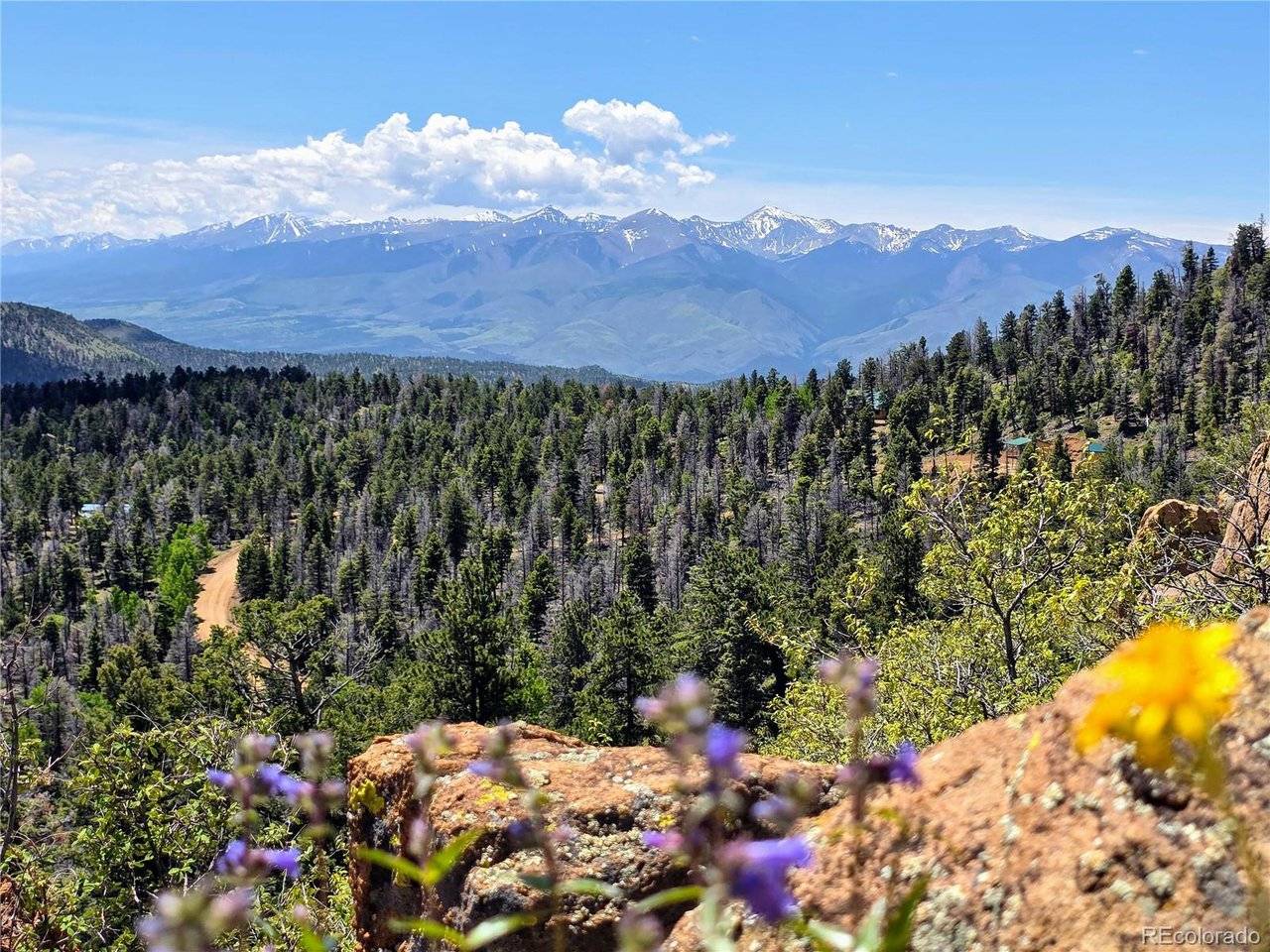 Cotopaxi, CO 81223,53 Trail