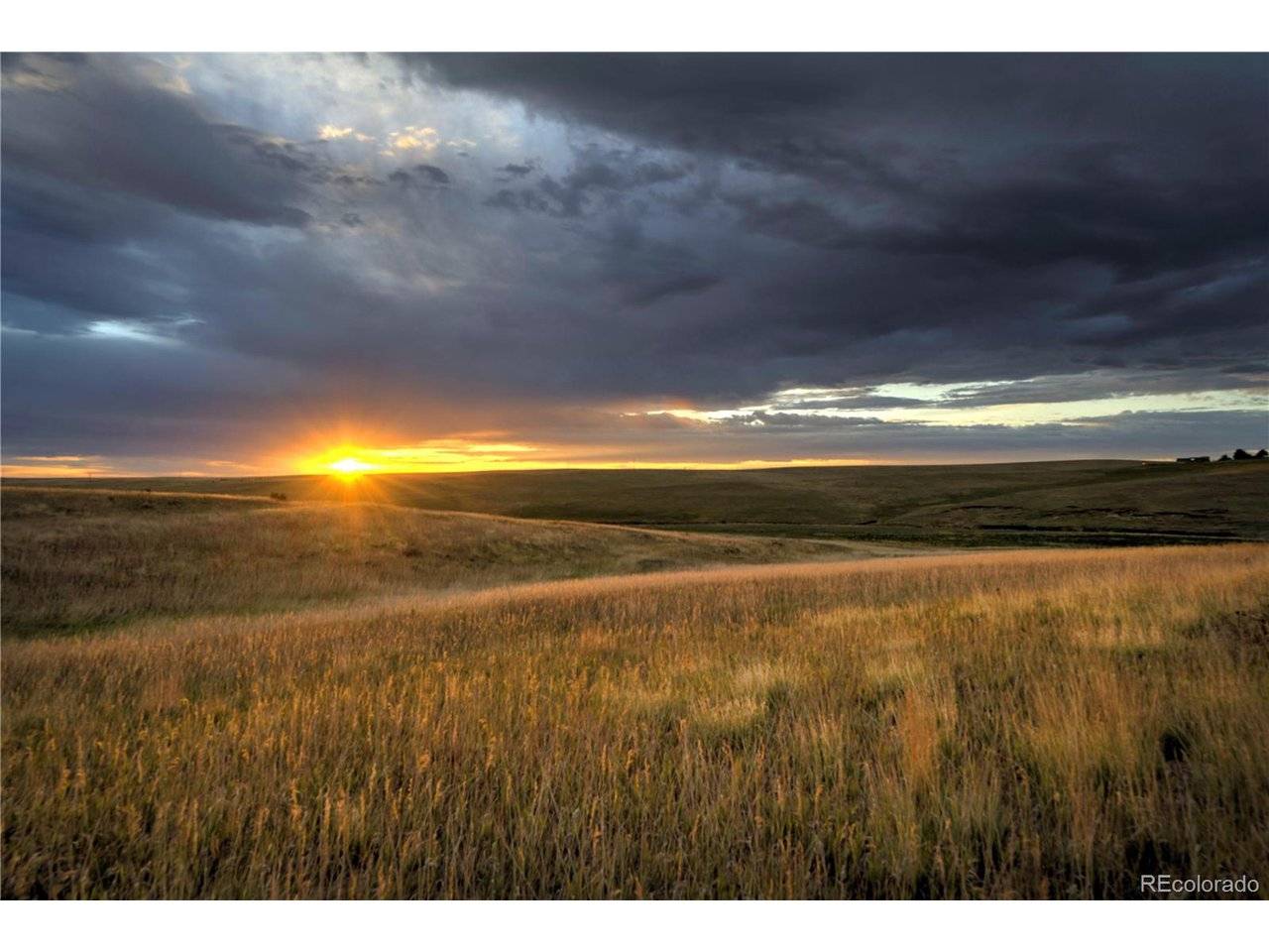 Kiowa, CO 80117,Last Dart