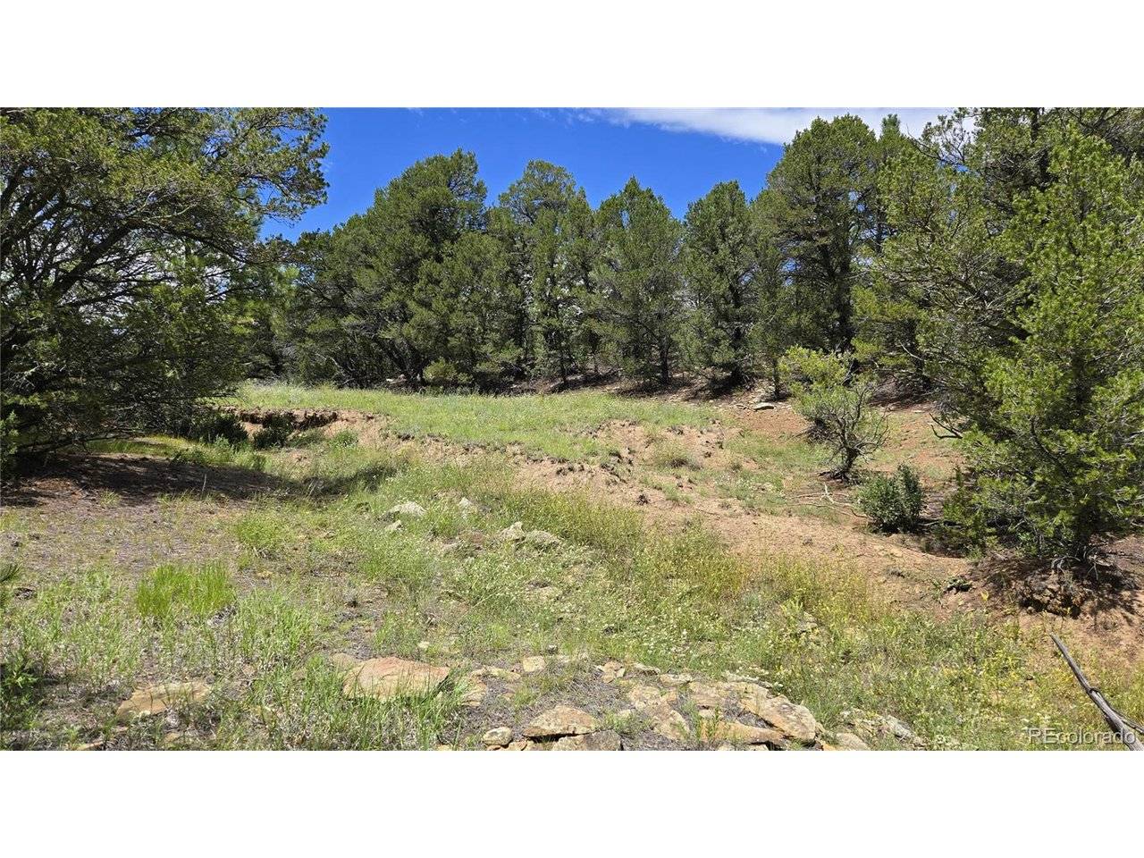 Trinidad, CO 81082,20 Colorado Mountain Lake Estates