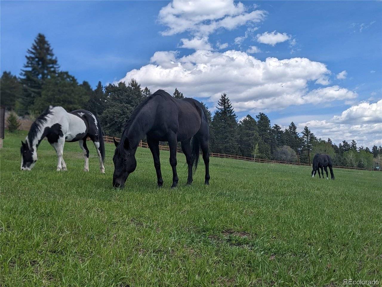 Morrison, CO 80465,8537 S Doubleheader Ranch