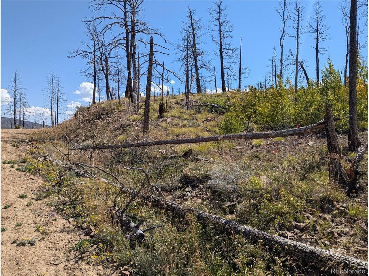 Fort Garland, CO 81133,349 MacNaughton