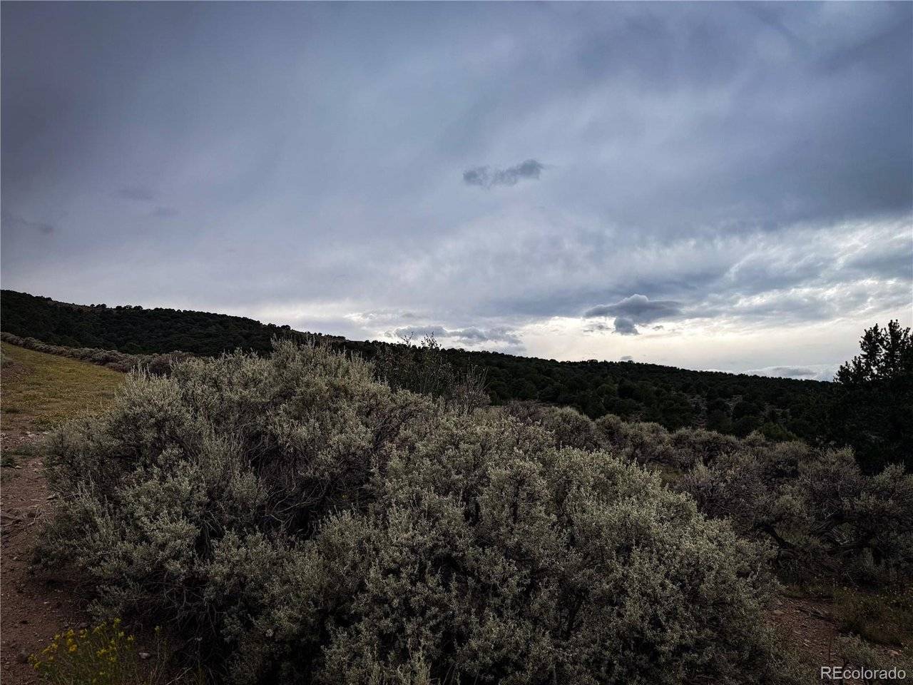 Fort Garland, CO 81133,0 Rodriguez