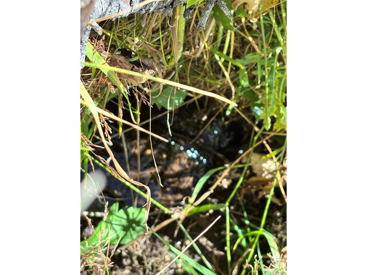 Fort Garland, CO 81101,0 Korlkoff