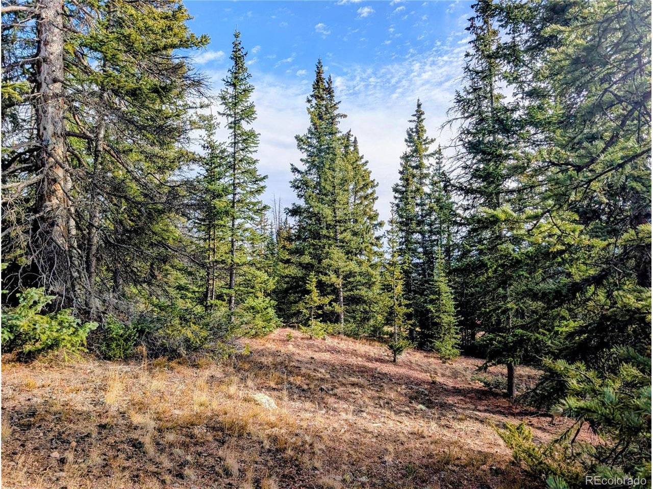 Fort Garland, CO 81133,48 Forbes