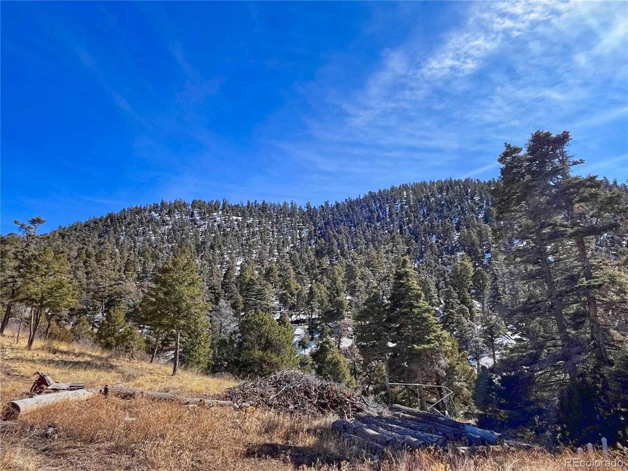 Fort Garland, CO 81133,0 Adelaide