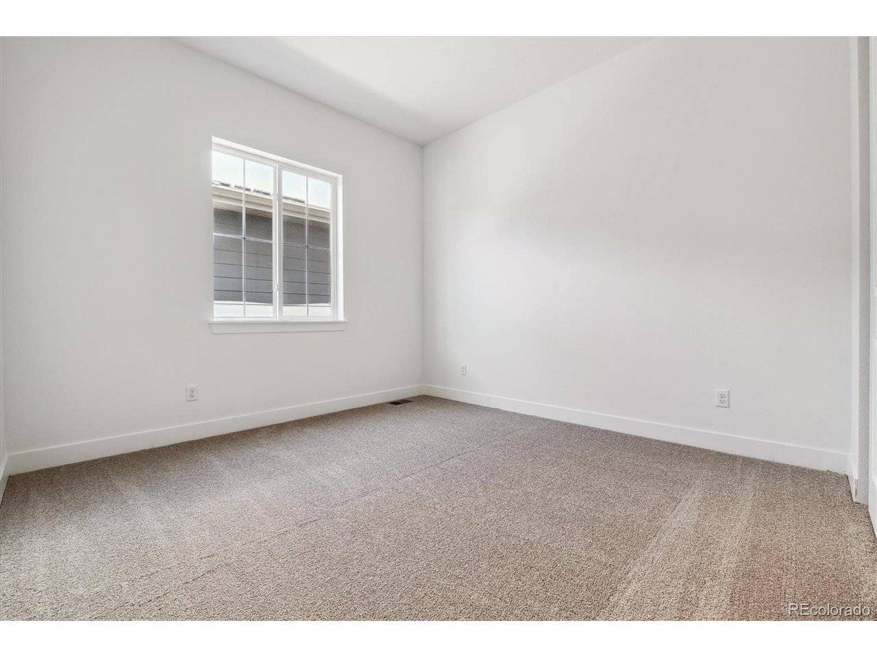 Littleton, CO 80125,8658 Pennycress