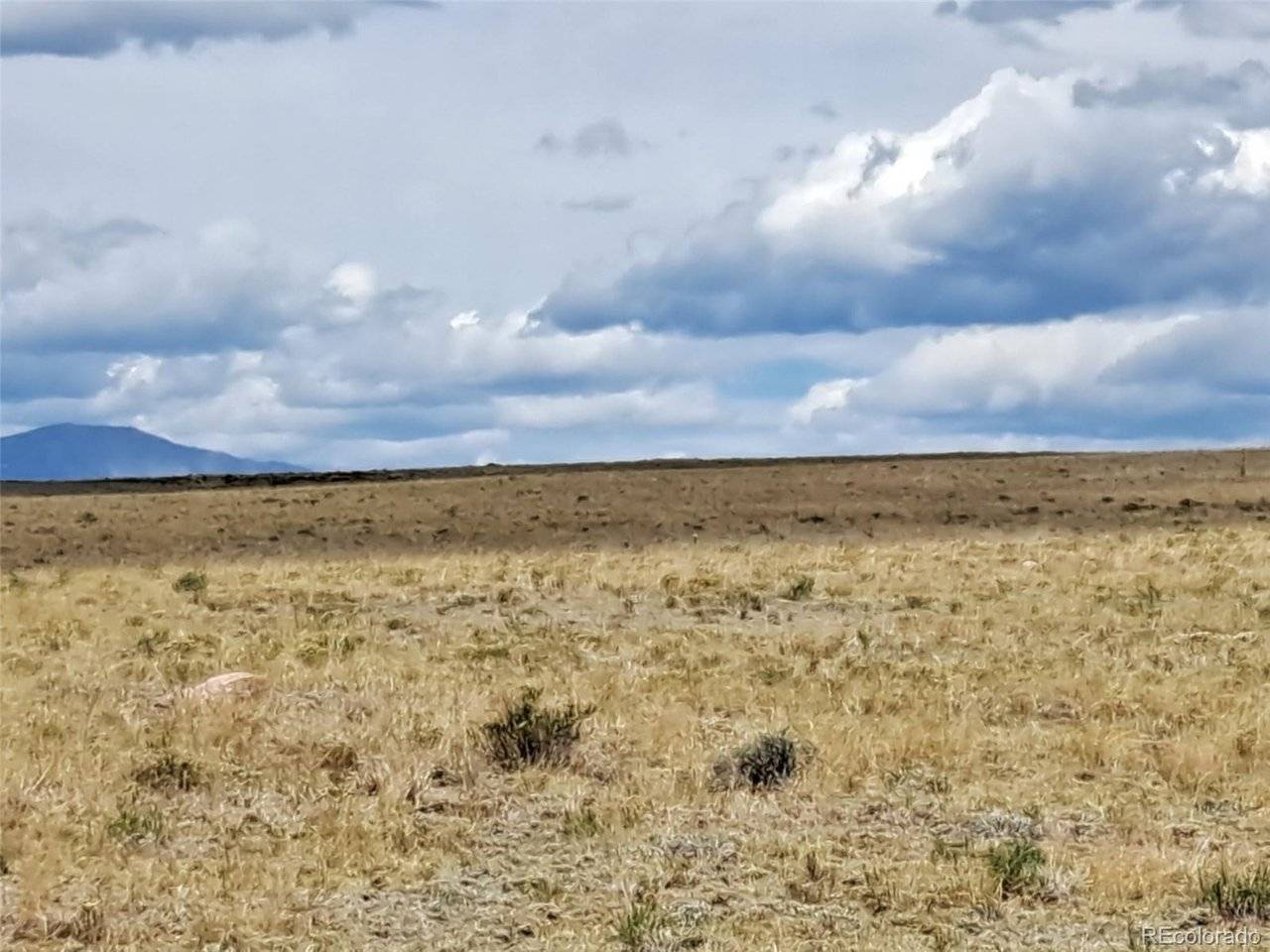 Hartsel, CO 80449,1501 Ranger Hill