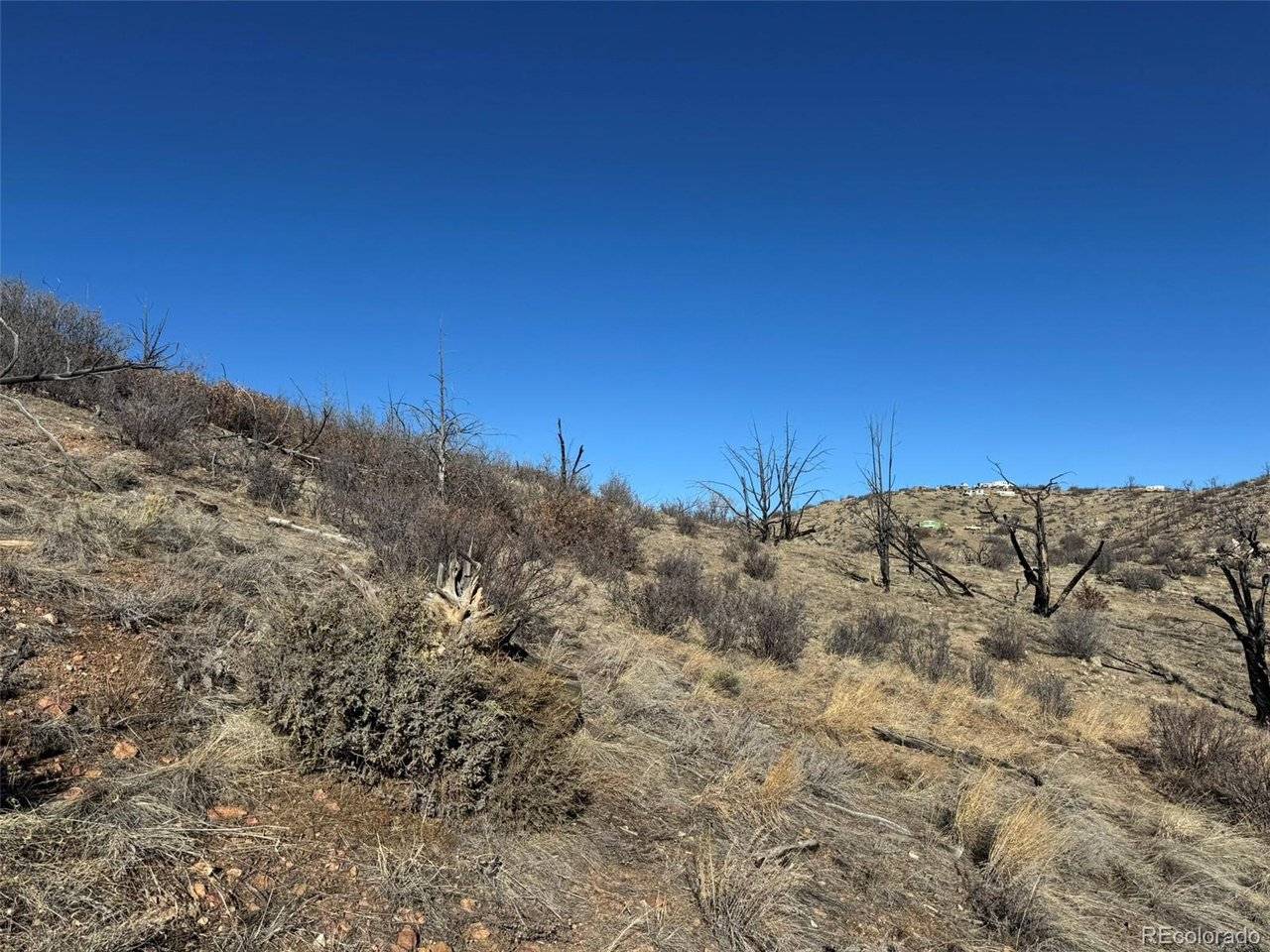 Cotopaxi, CO 81223,F Path and 37th