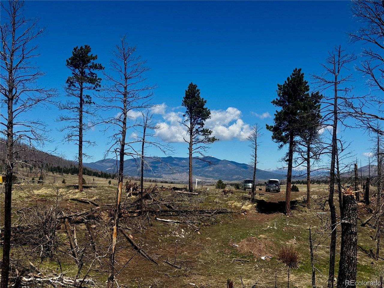 Fort Garland, CO 81133,1005 Foy