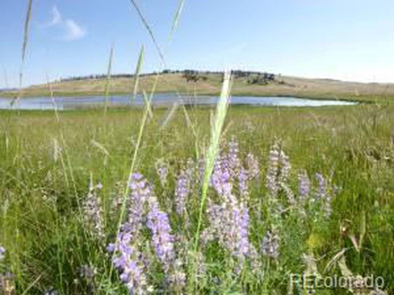 Fort Garland, CO 81133,2352 Benton