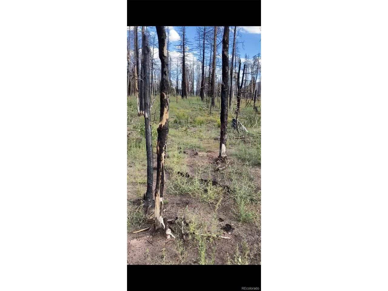 Fort Garland, CO 81133,1386 Emery