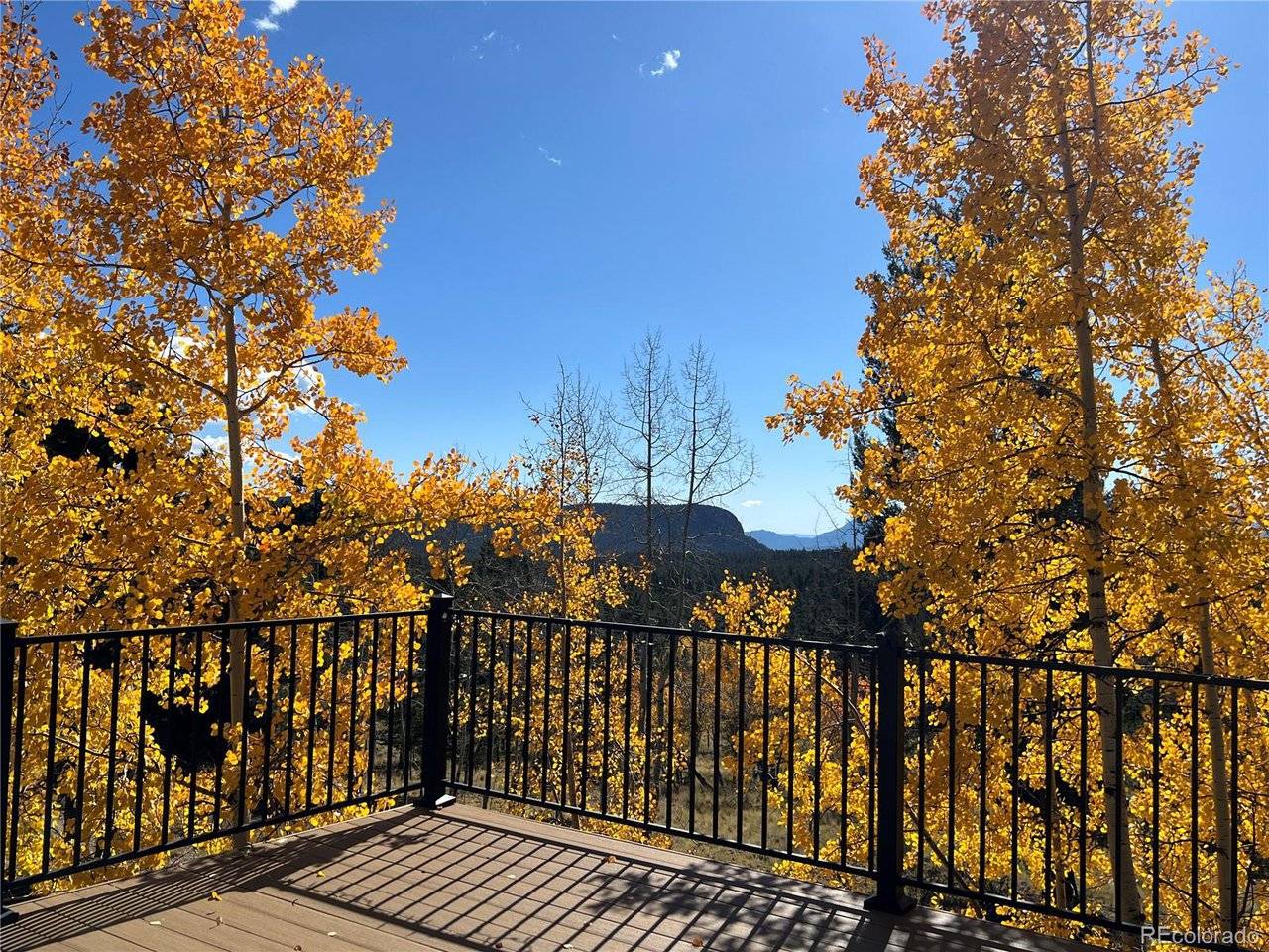 Bailey, CO 80421,2169 Vigilante