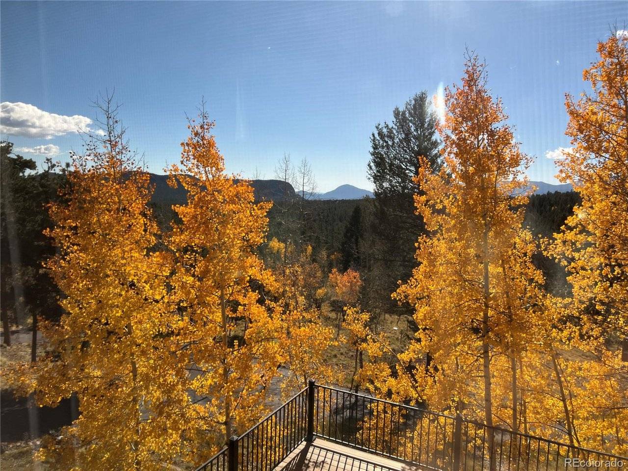 Bailey, CO 80421,2169 Vigilante