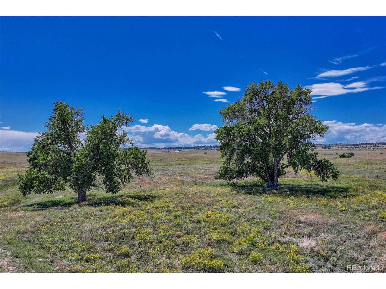 Kiowa, CO 80117,Fiddleback Ranch