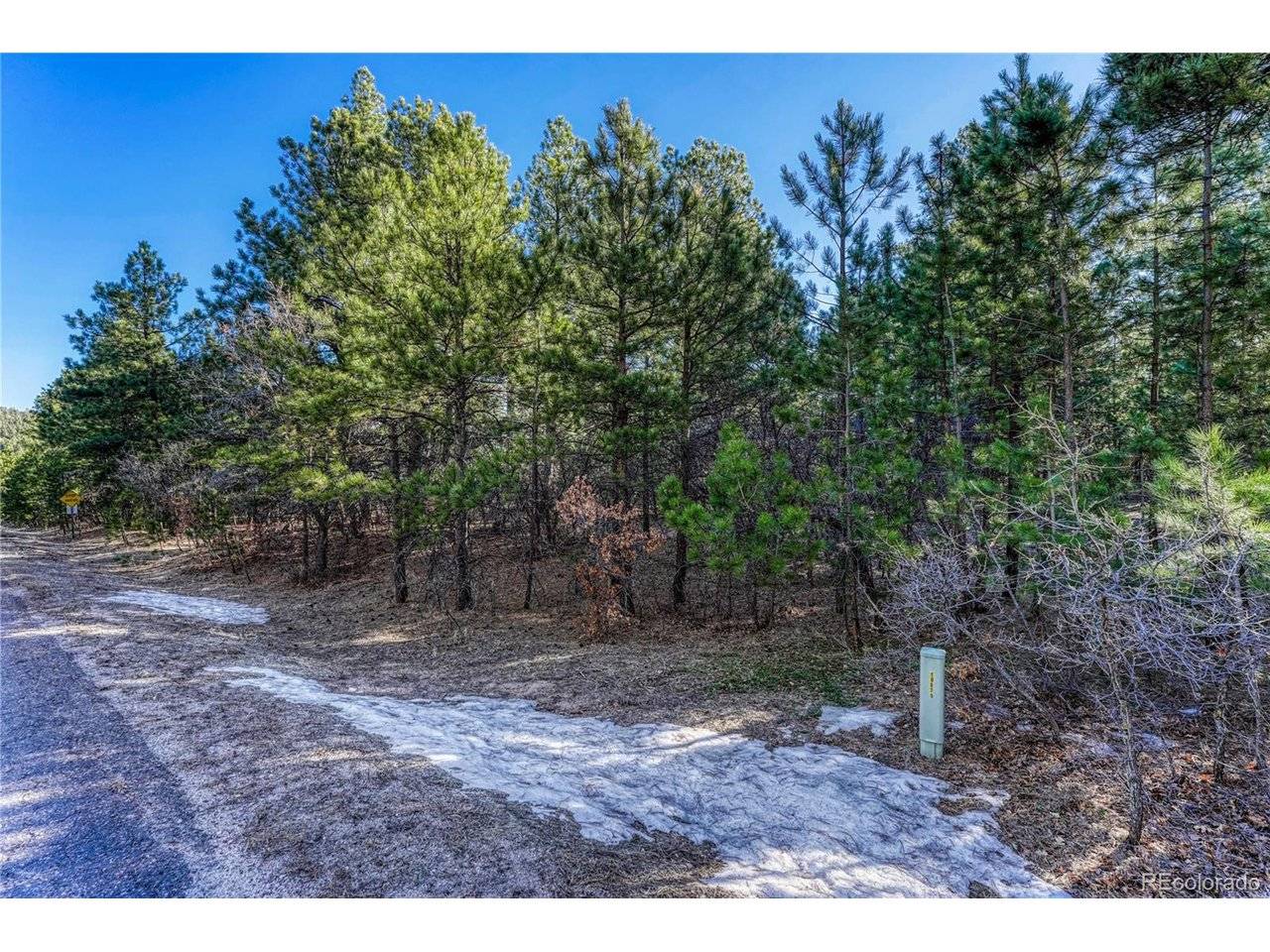 Monument, CO 80132,19953 Vista Clara