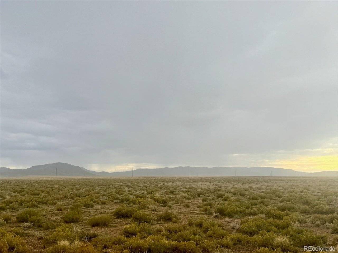 Blanca, CO 81123,11 Alyssum