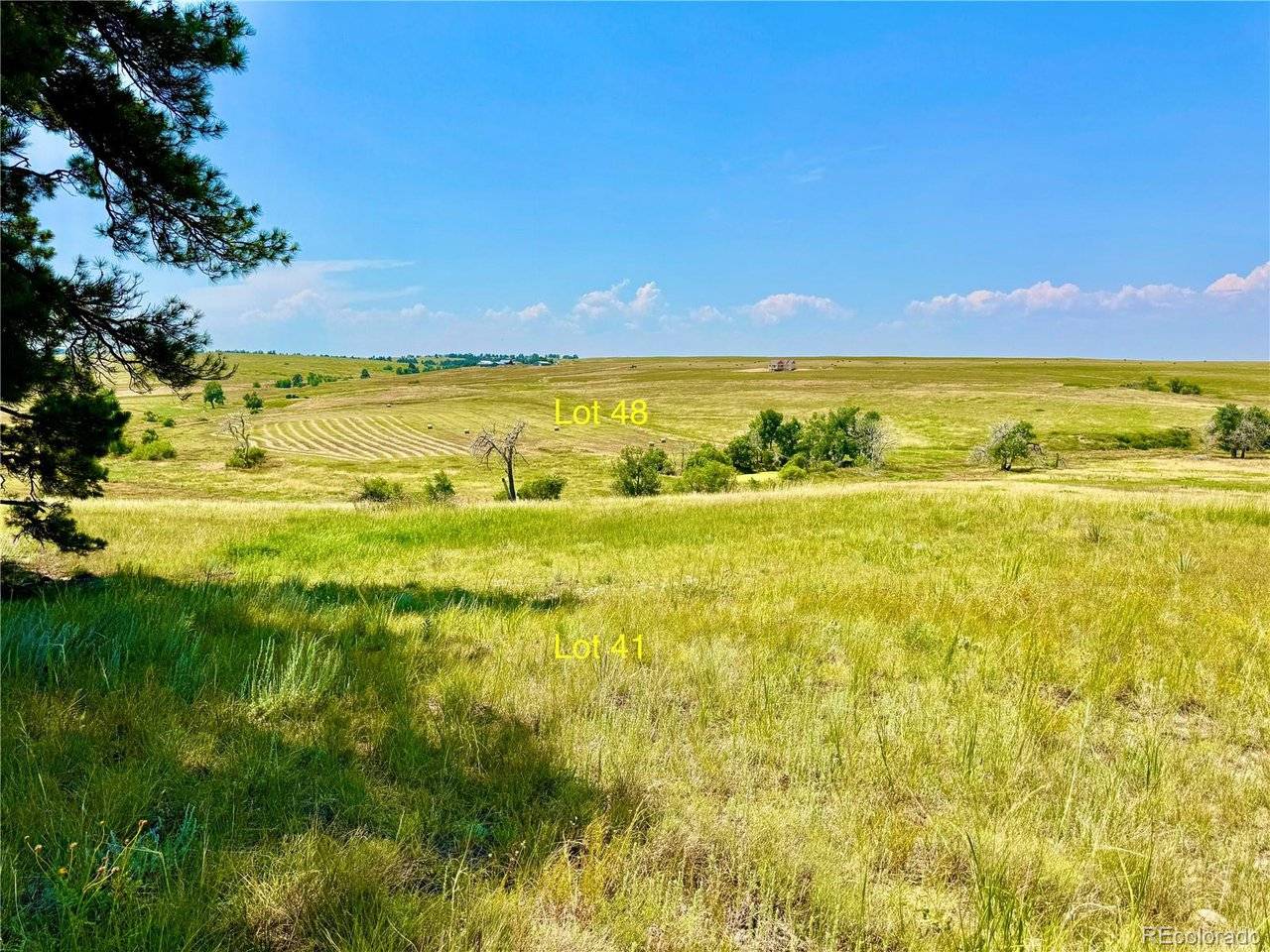 Kiowa, CO 80117,Stillness Loop Lot 41