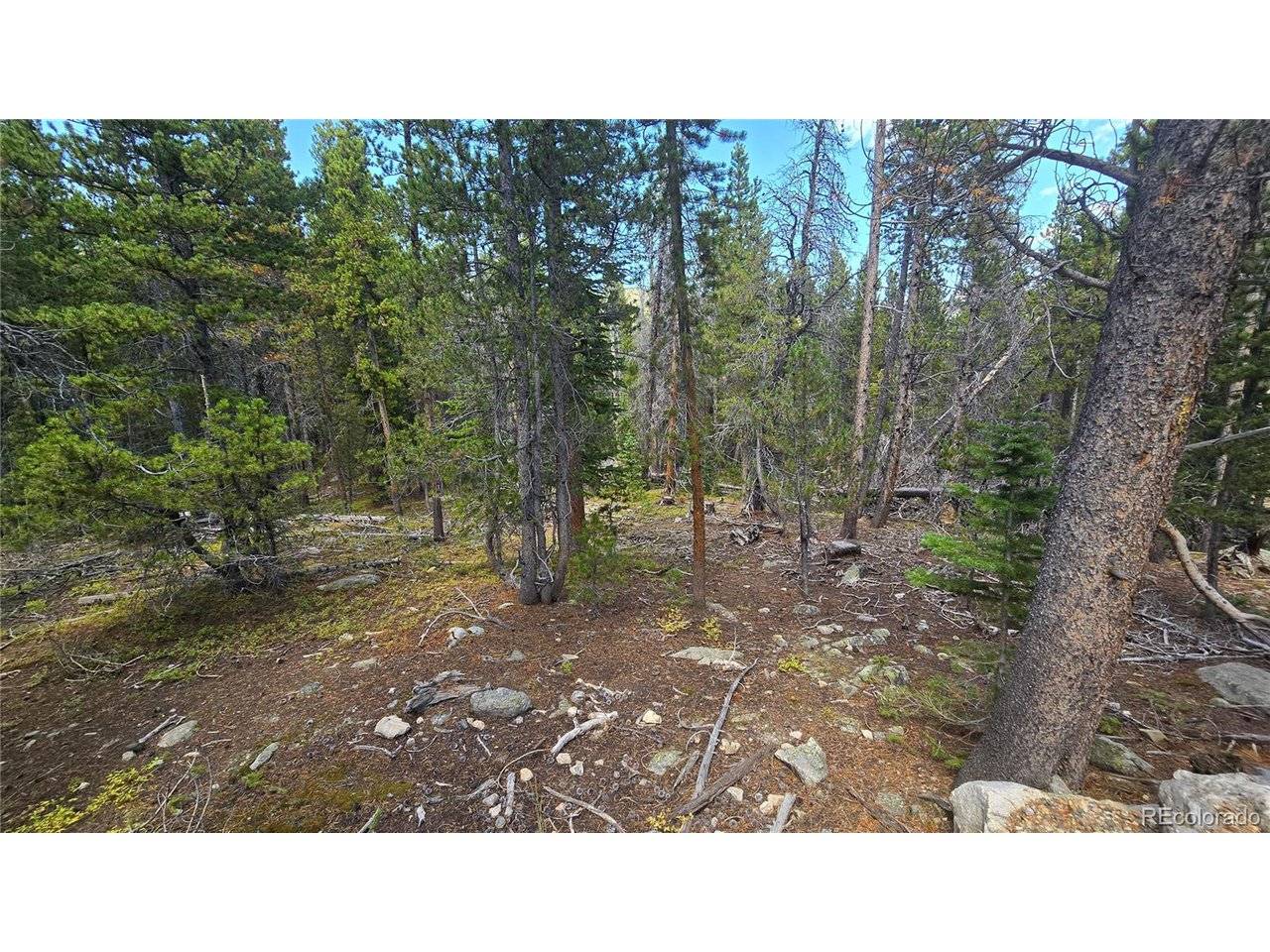 Idaho Springs, CO 80444,Alice Road