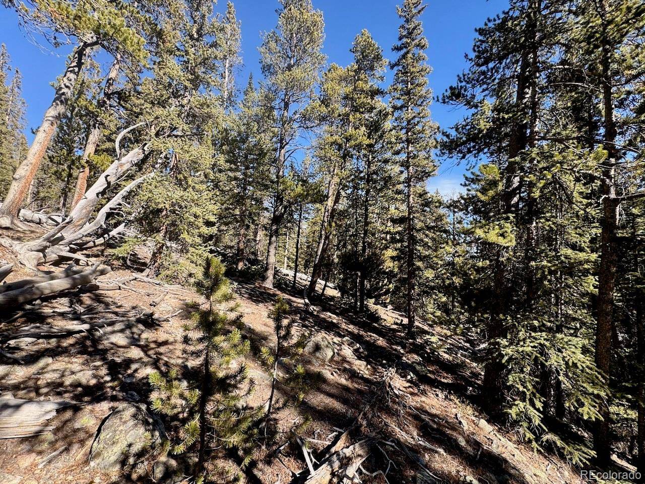 Fairplay, CO 80440,352 Puma