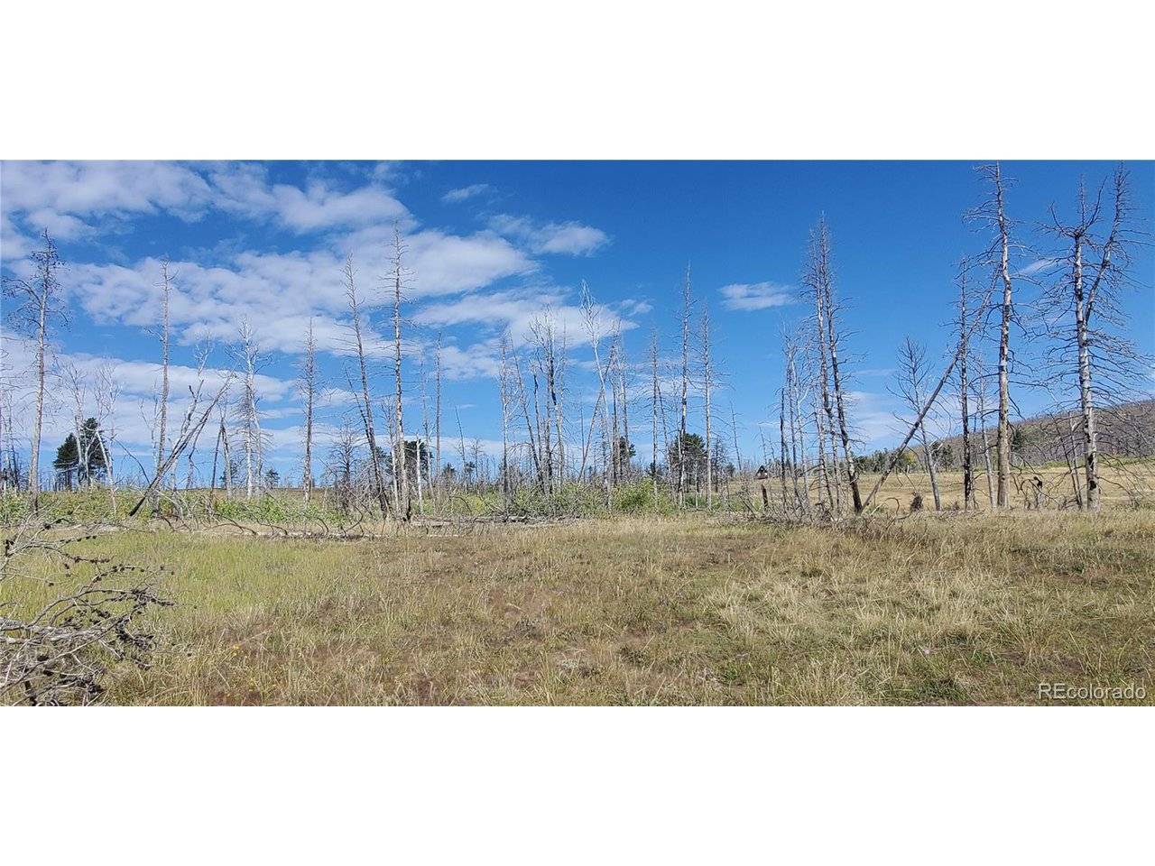 Fort Garland, CO 81133,1547 Cary