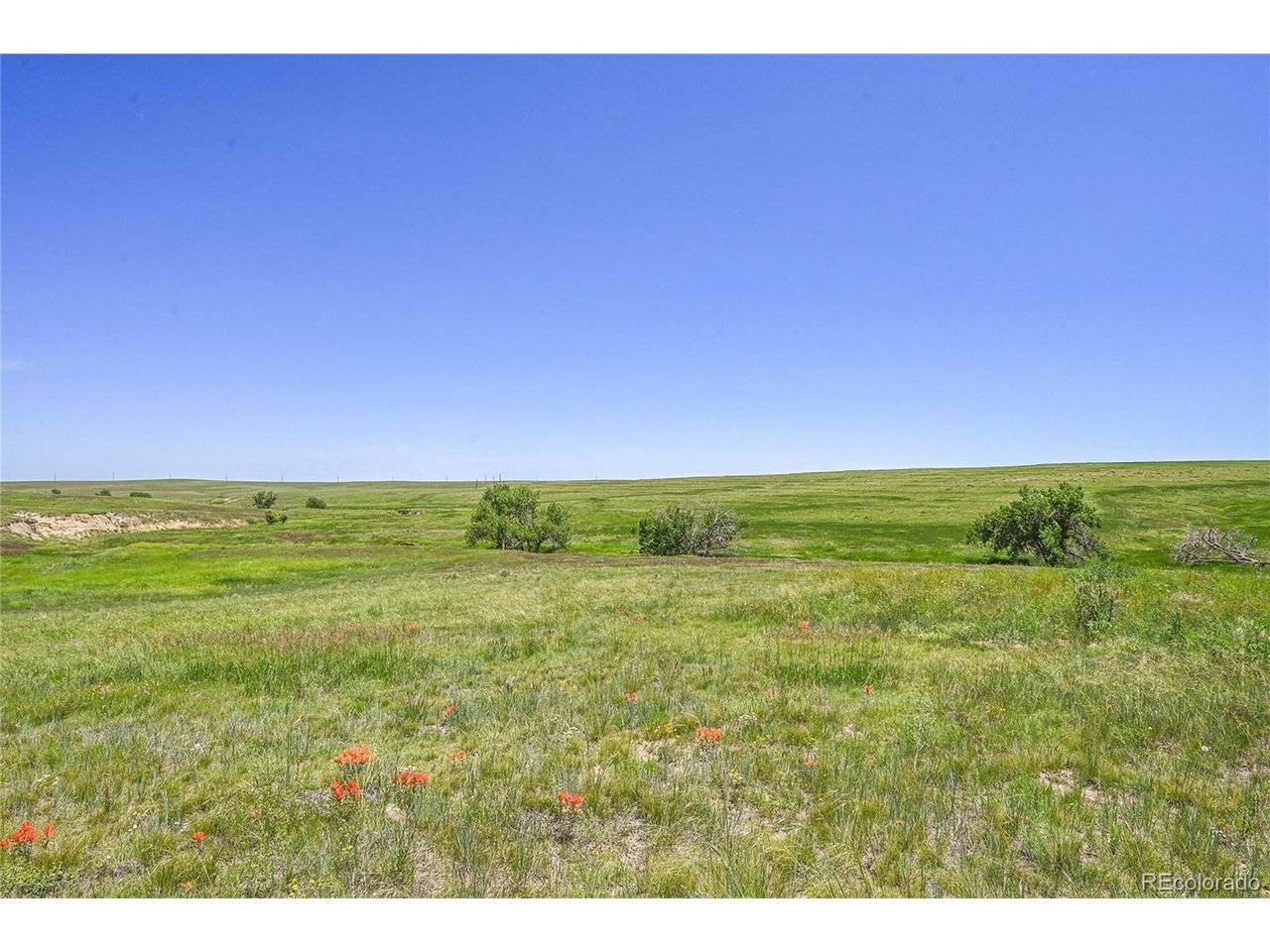 Kiowa, CO 80117,Last Dart