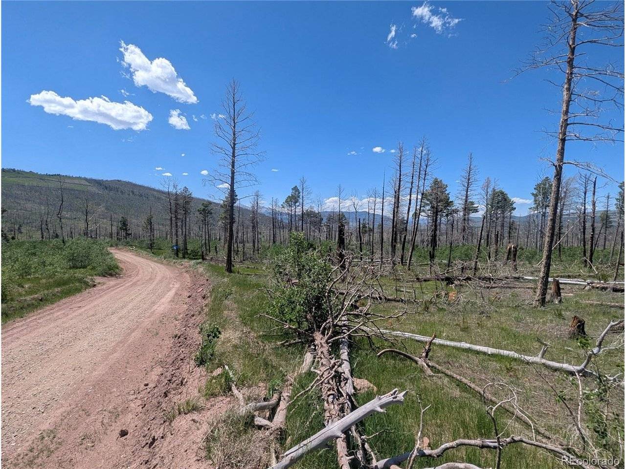 Fort Garland, CO 81133,1050 Seawell