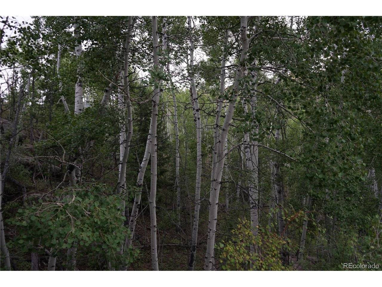 Cripple Creek, CO 80813,144 Goldfield