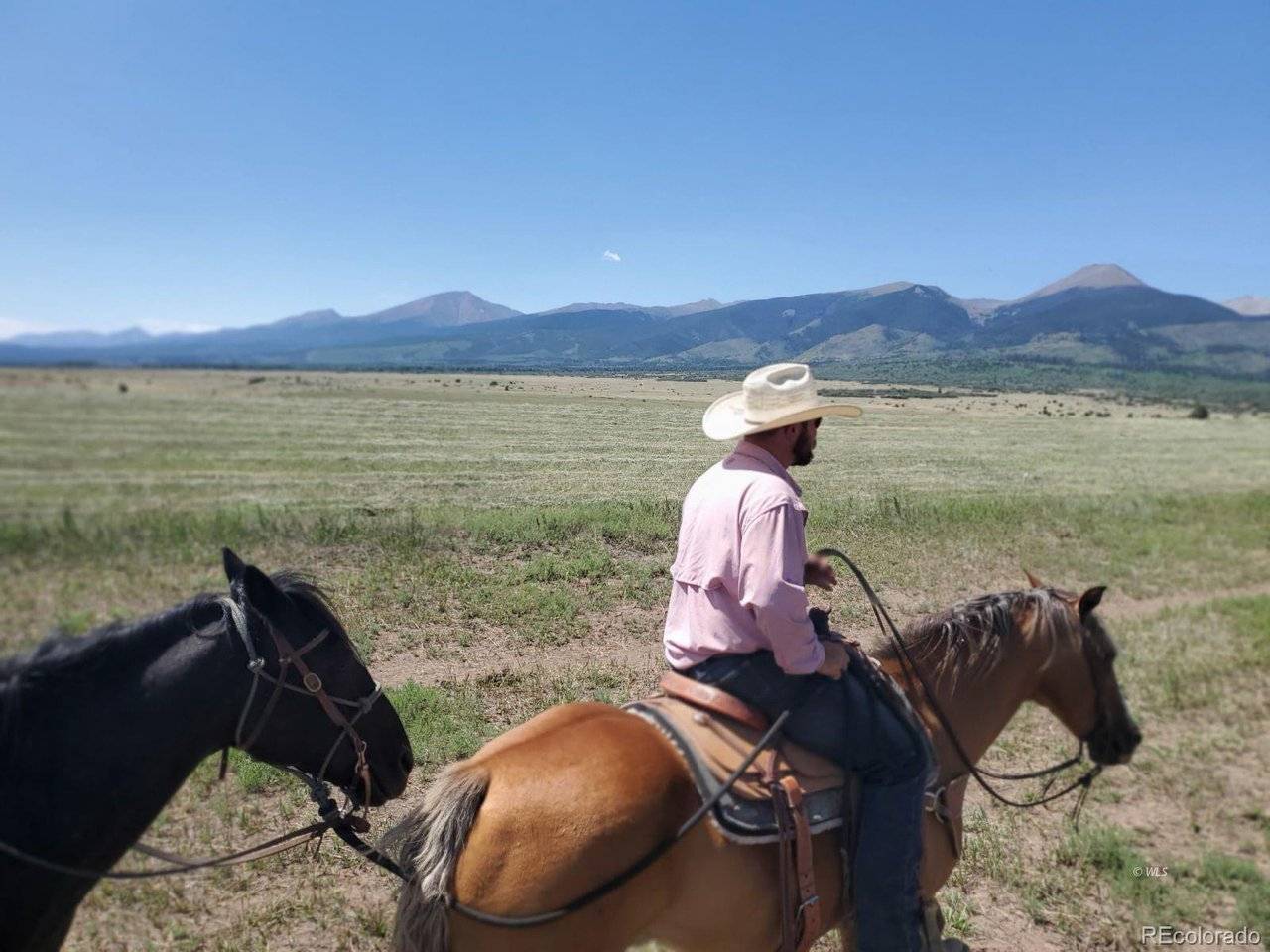 Cotopaxi, CO 81223,1300 Running Bear
