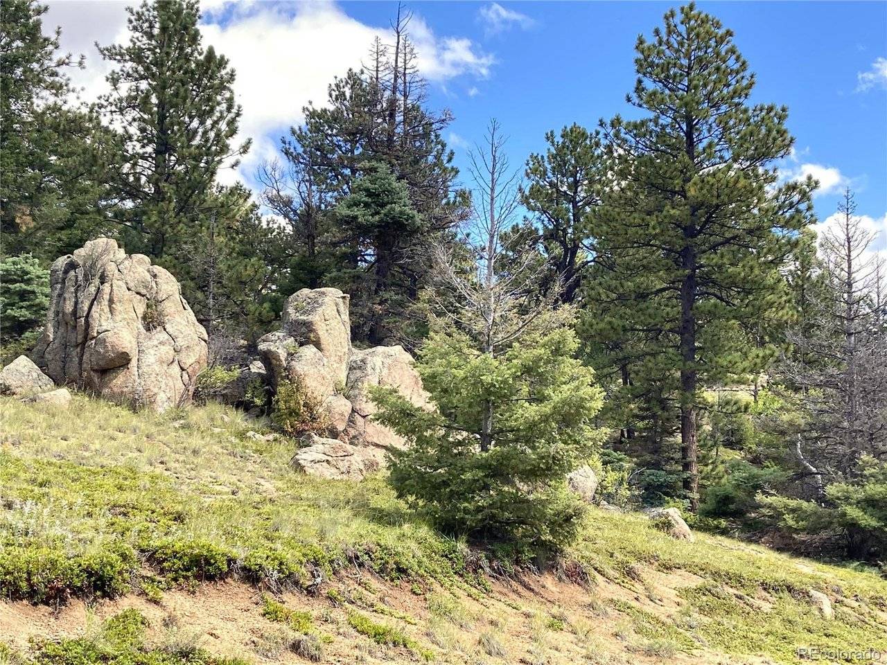 Cotopaxi, CO 18223,27 Copper Mountain