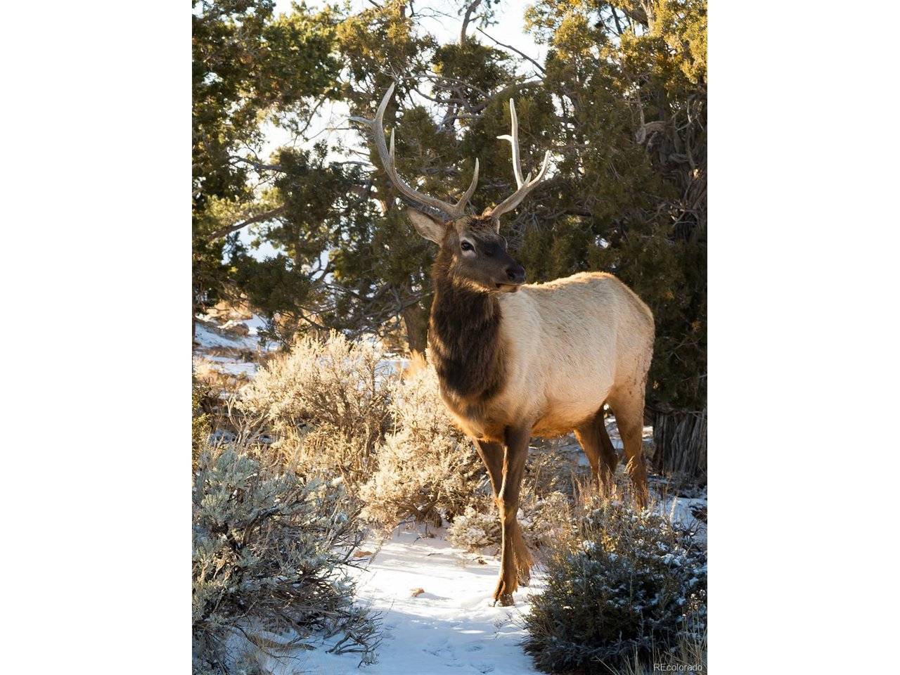 Fairplay, CO 80440,1344 Silverheels