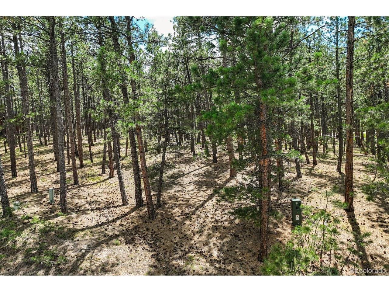 Monument, CO 80132,17960 Smugglers