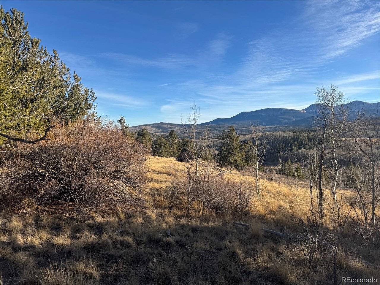 Fairplay, CO 80440,84 Pine Ridge