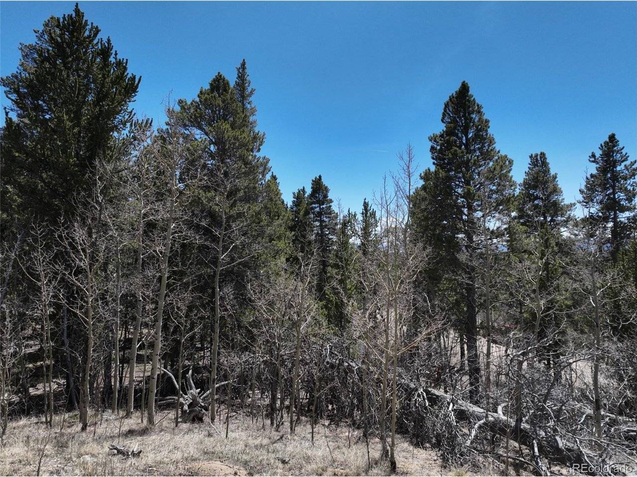 Fairplay, CO 80440,Address not disclosed