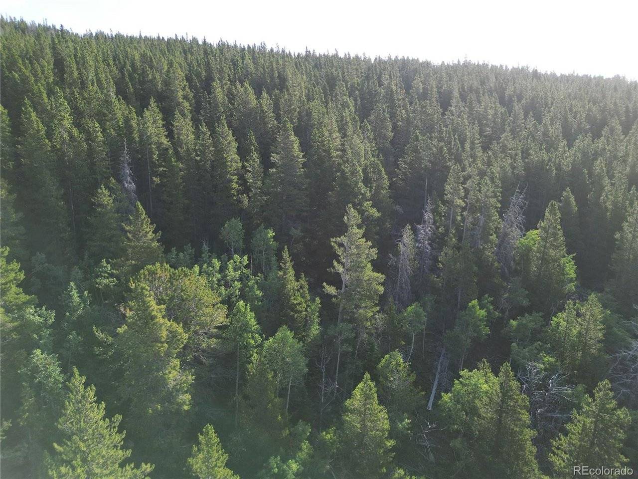 Boulder, CO 80466,0 Fourth Of July