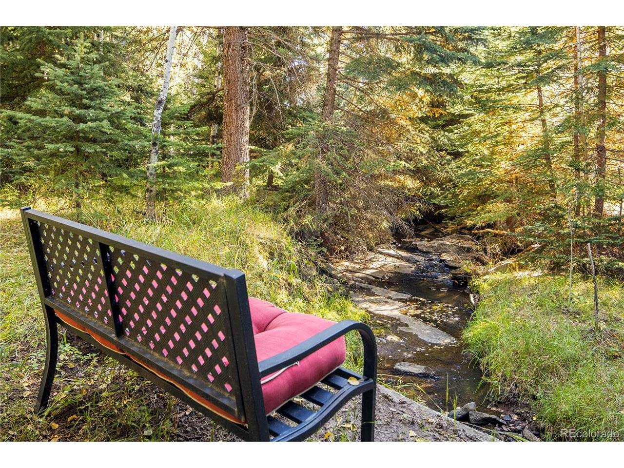 Evergreen, CO 80439,32217 Buffalo Park