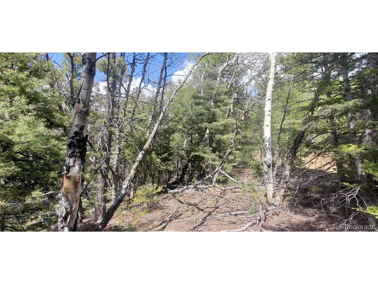 Fort Garland, CO 81133,Address not disclosed