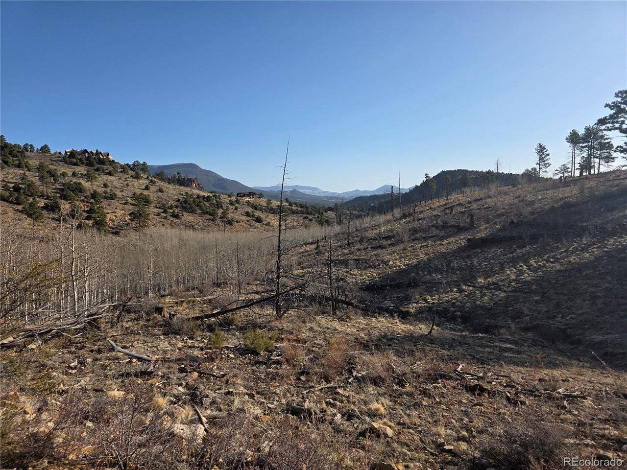 South Fork, CO 81154,302 Rickel