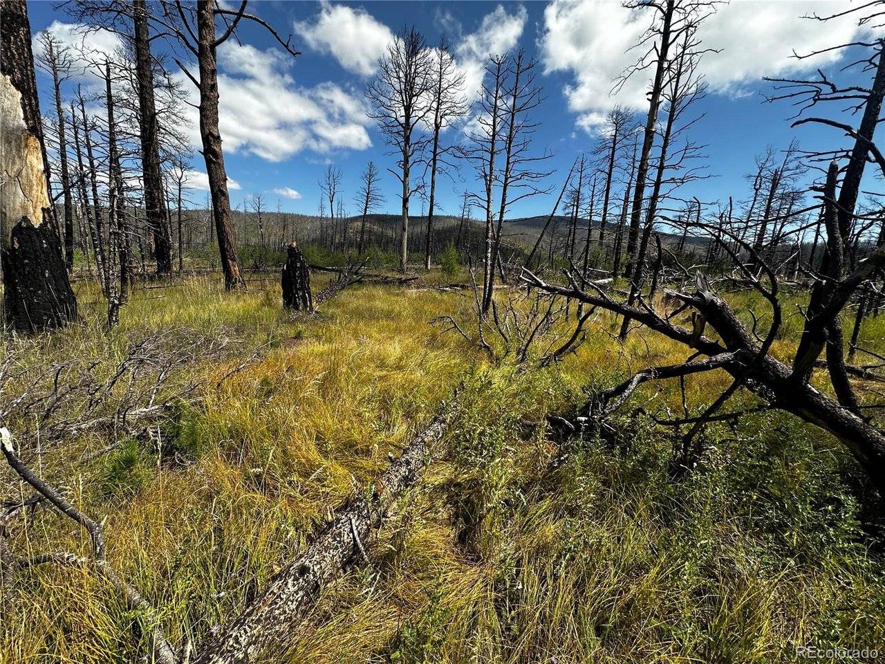 Fort Garland, CO 81133,1175 Macomber