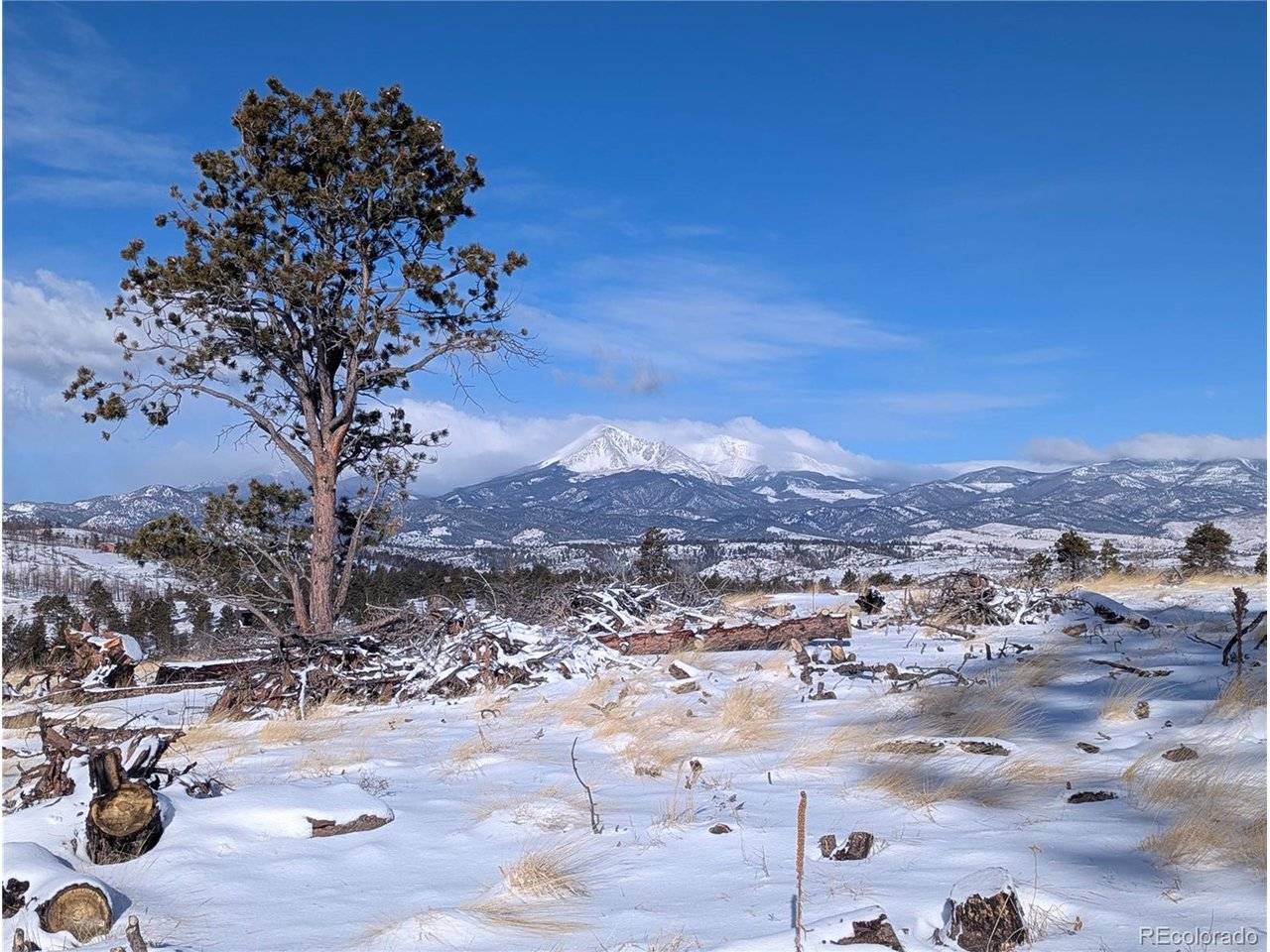 Fort Garland, CO 81133,614 MacDonald