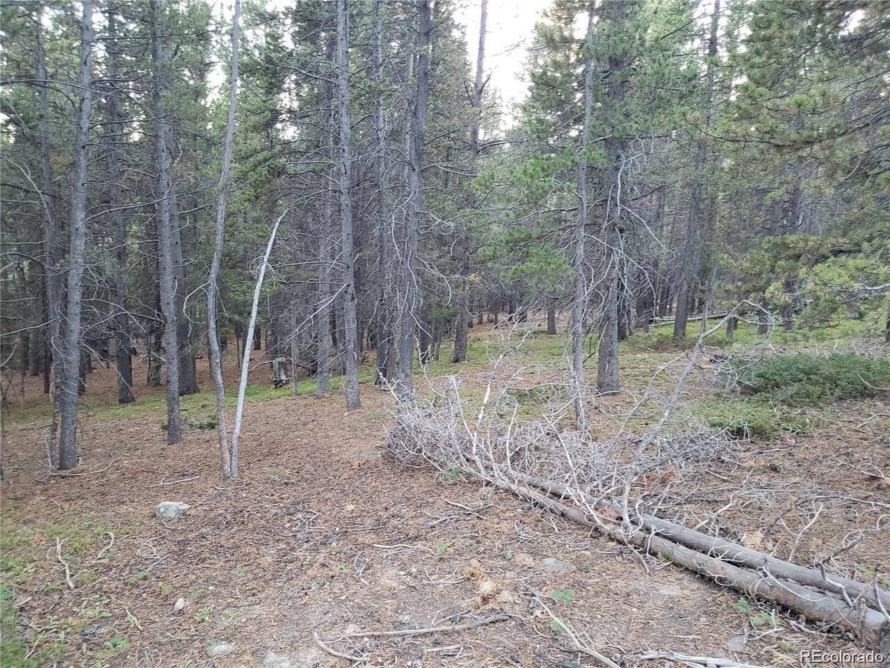 Idaho Springs, CO 80453,000 Alice Road