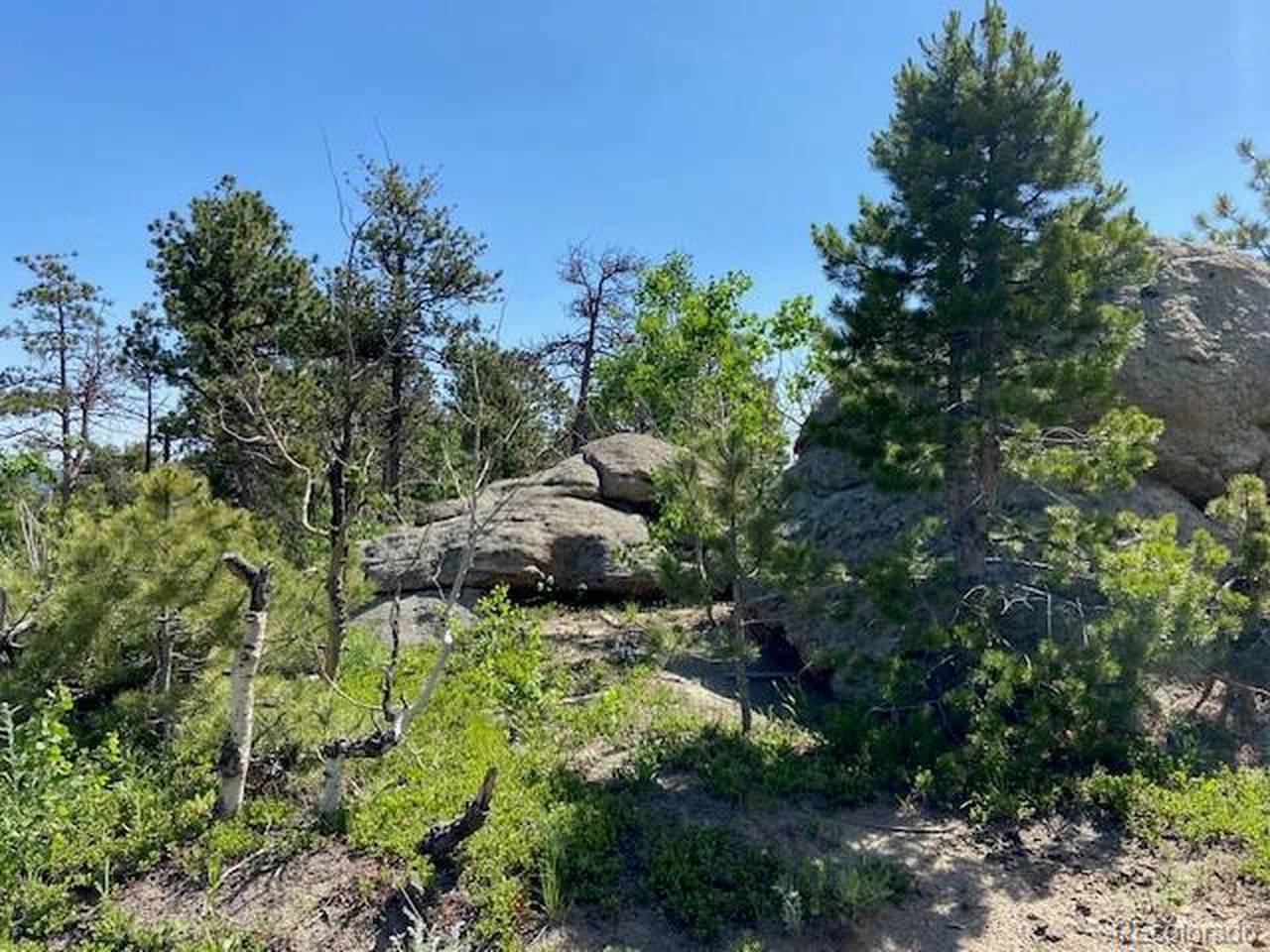 Golden, CO 80403,1118 Copperdale