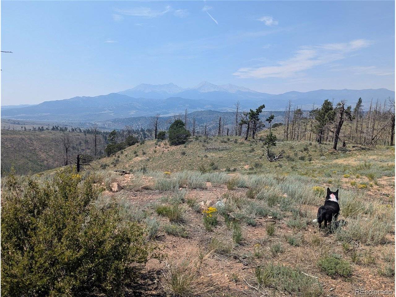 Fort Garland, CO 81133,374 Soubry