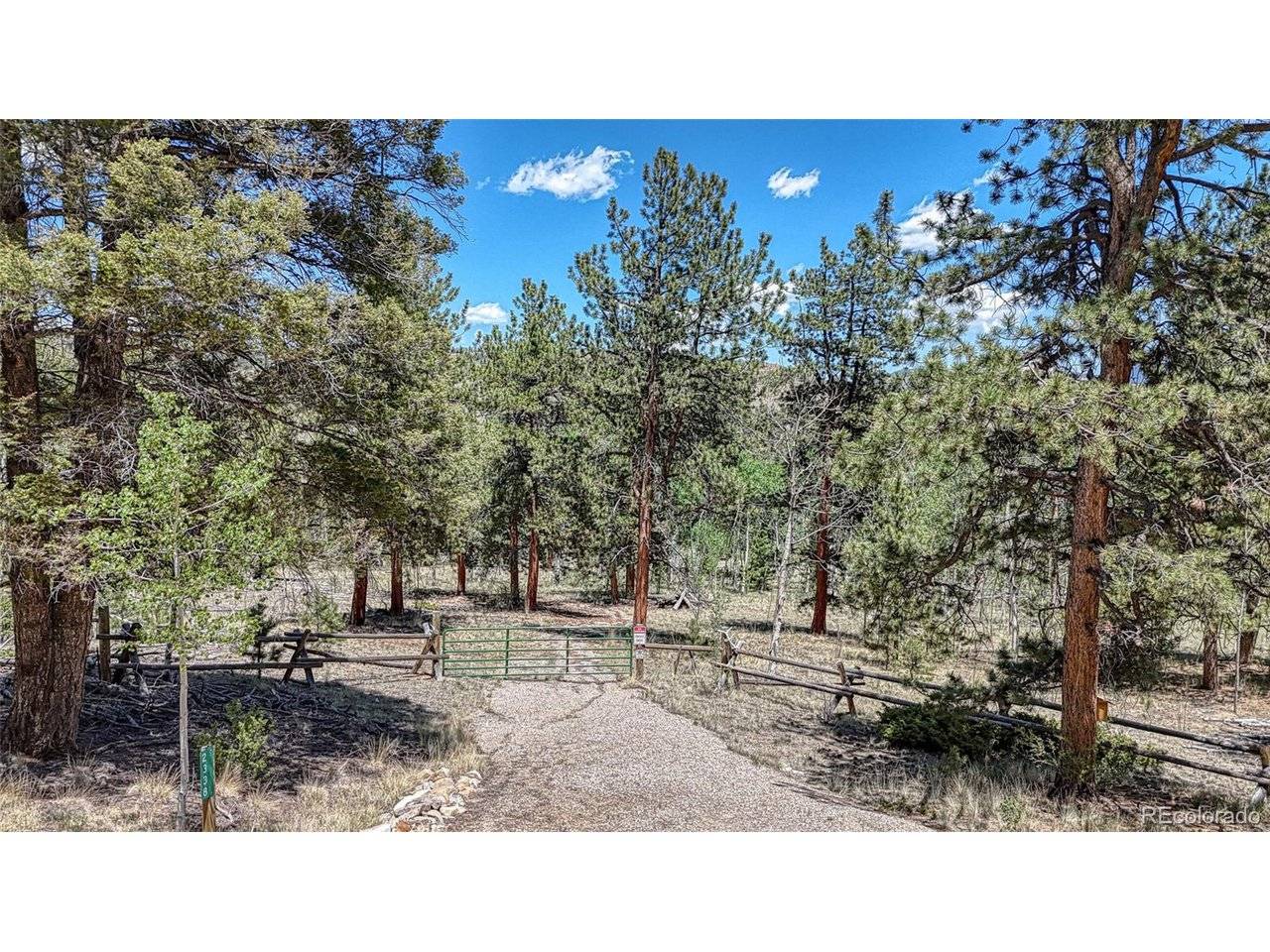 Hartsel, CO 80449,2338 Fitzsimmons