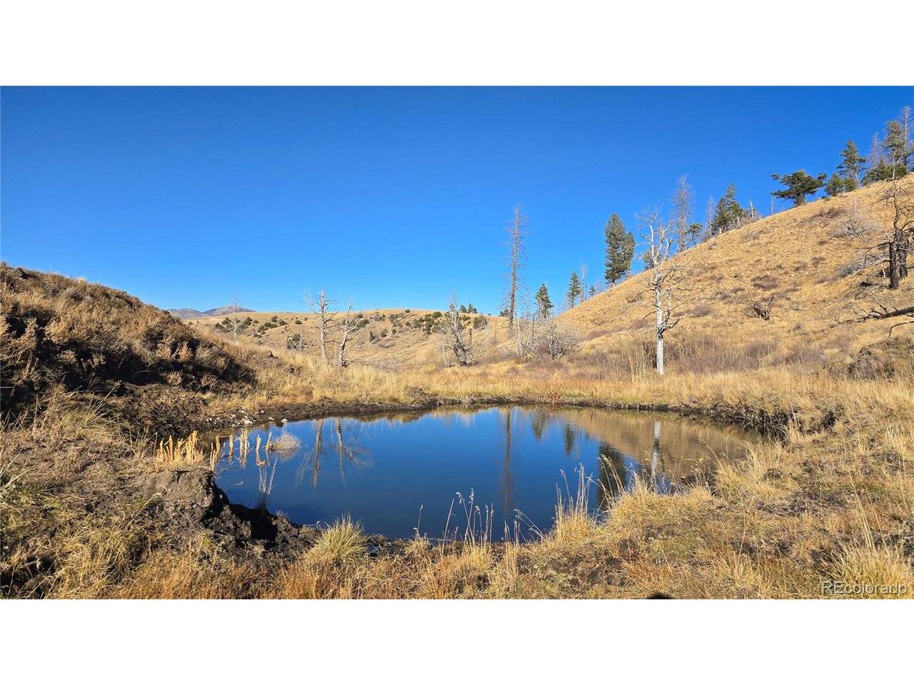 Fort Garland, CO 81133,7741 Van Giesen