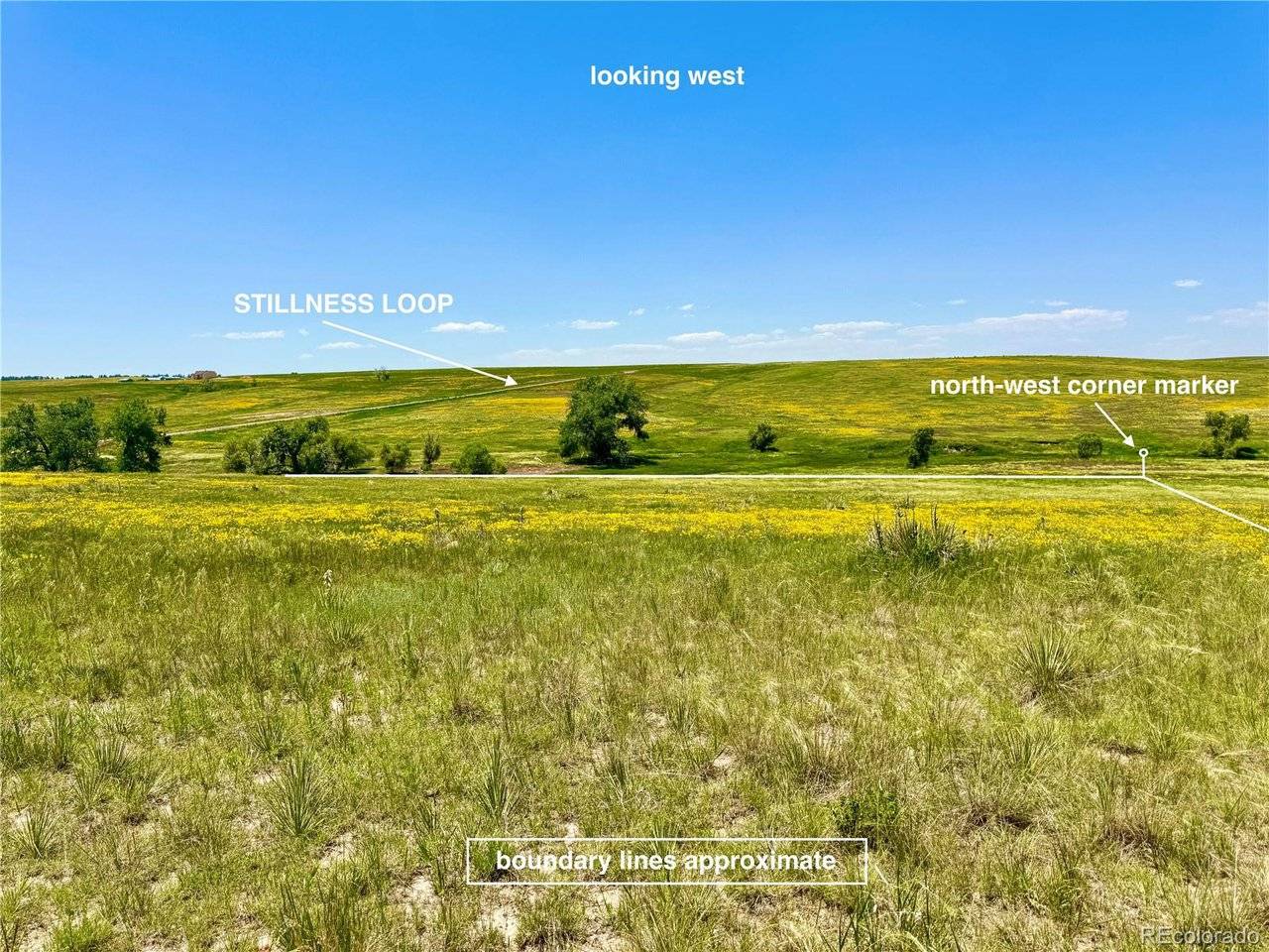 Kiowa, CO 80117,0 Wendling Trail Lot 29