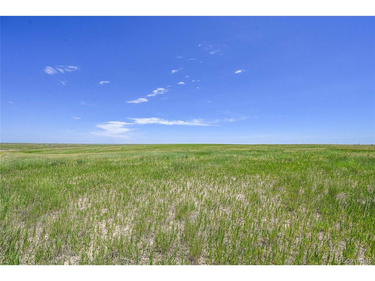 Kiowa, CO 80117,Last Dart