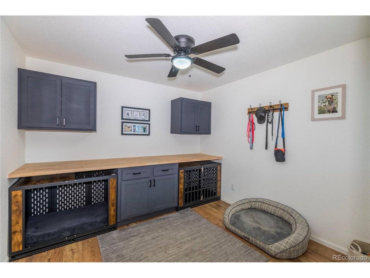 Littleton, CO 80128,8145 S Zephyr