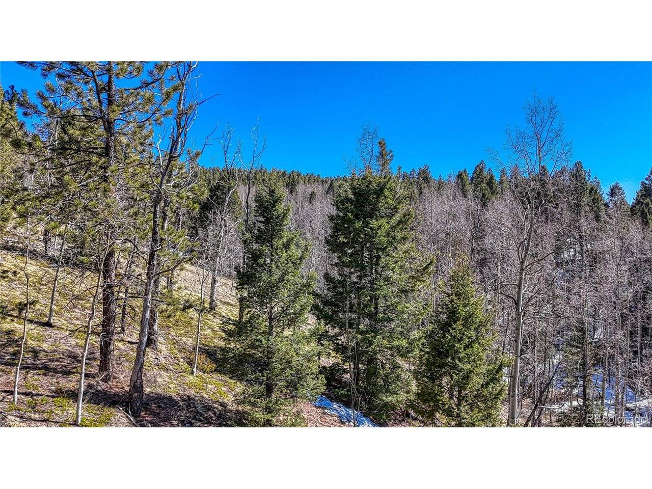 Cripple Creek, CO 80813,542 Vivenda