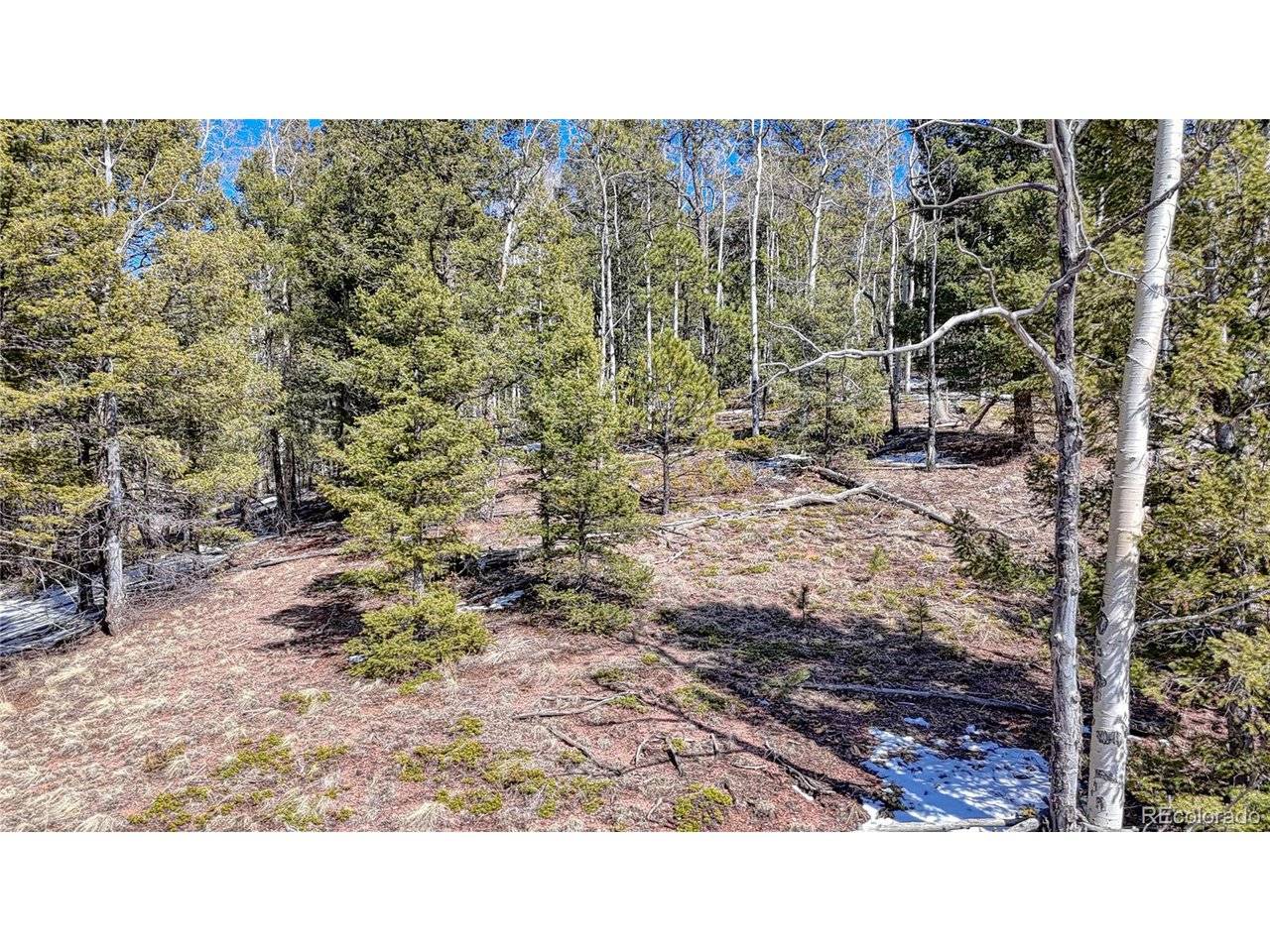 Cripple Creek, CO 80813,542 Vivenda